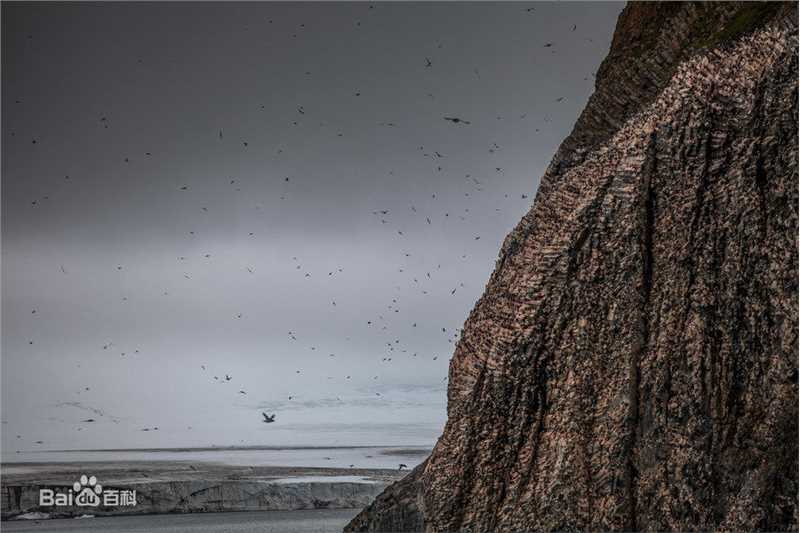周笔畅(BiBi Zhou)摄影作品生活照相册