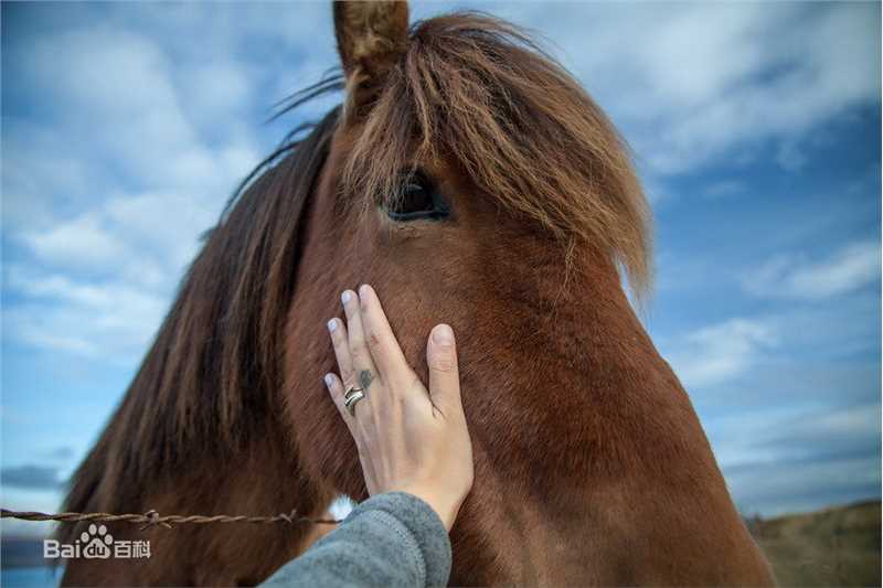 周笔畅(BiBi Zhou)摄影作品生活照相册
