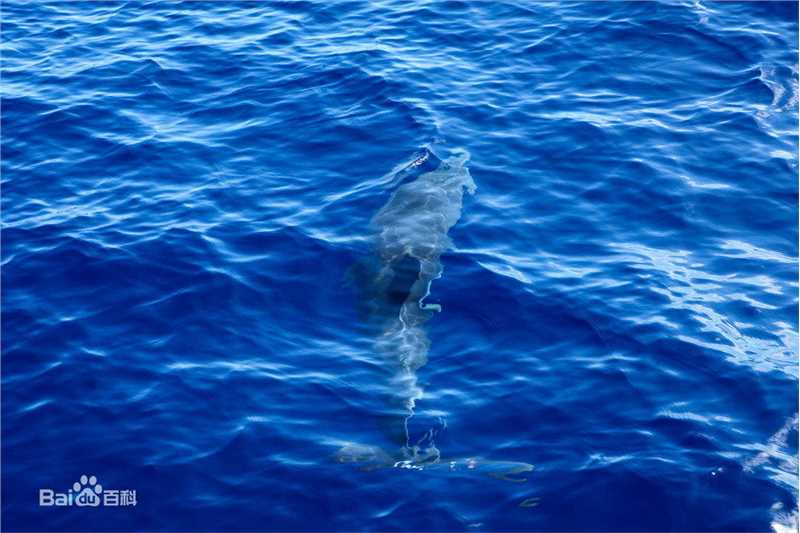 周笔畅(BiBi Zhou)摄影作品生活照相册