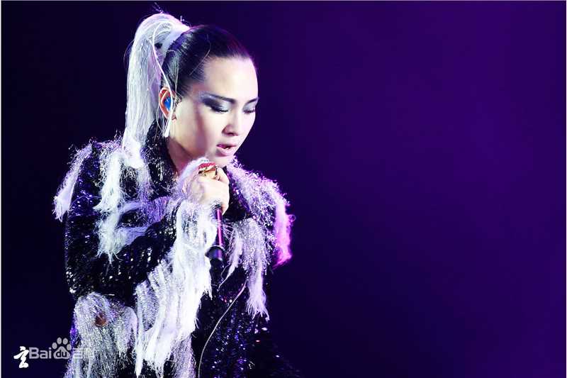 周笔畅(BiBi Zhou)2015BOOM!巡演图册