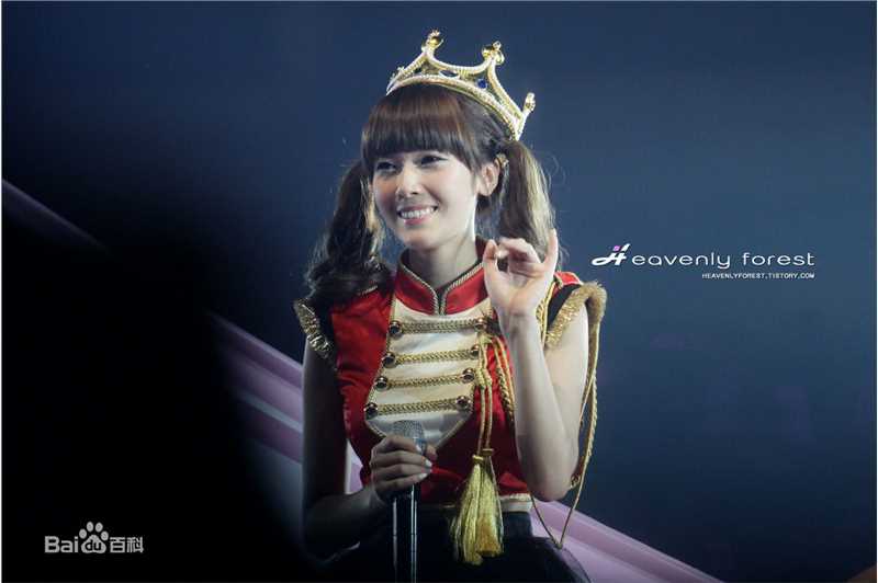 郑秀妍(Jung Soo Yeon、ジェシカ、チョンスヨン)演唱会饭拍壁纸壁纸