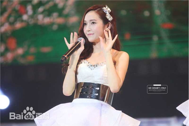 郑秀妍(Jung Soo Yeon、ジェシカ、チョンスヨン)演唱会饭拍壁纸壁纸