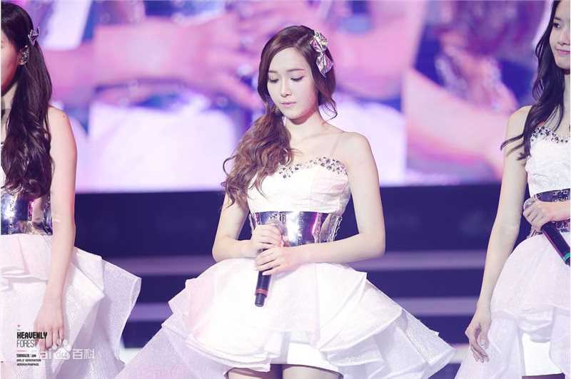 郑秀妍(Jung Soo Yeon、ジェシカ、チョンスヨン)演唱会饭拍壁纸壁纸