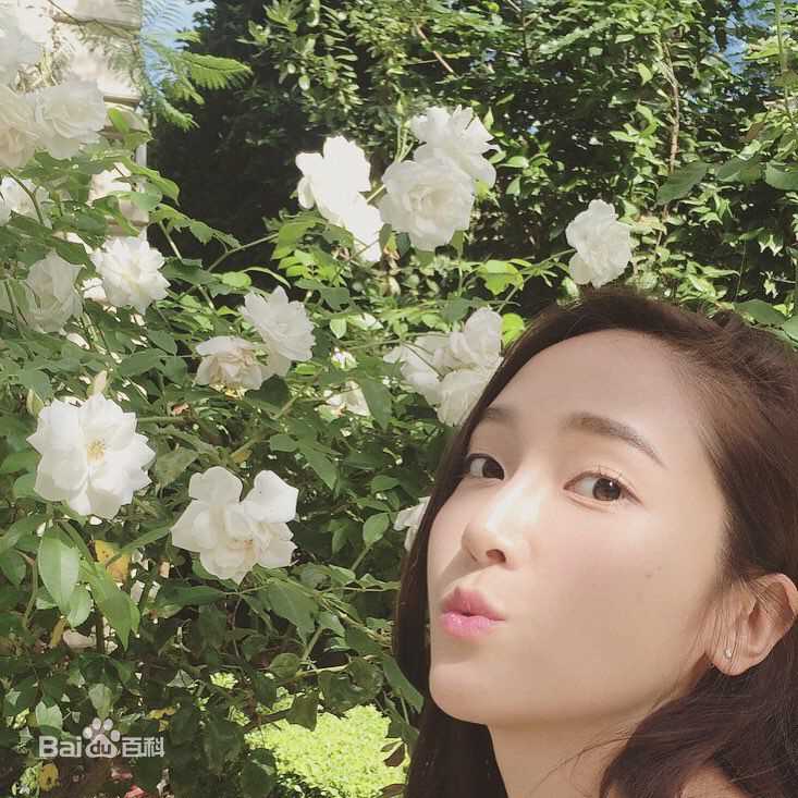 郑秀妍(Jung Soo Yeon、ジェシカ、チョンスヨン)旅行性感图片壁纸