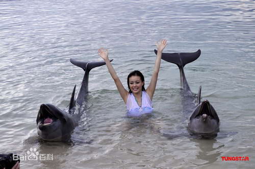 容祖儿(Joey Yung)2010代言百老汇电器产品连锁店图册