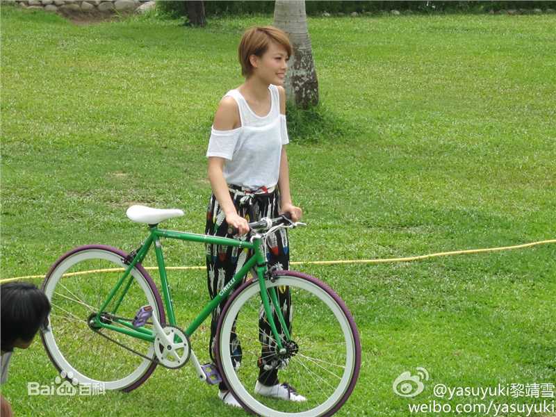 容祖儿(Joey Yung)2010代言百老汇电器产品连锁店图册