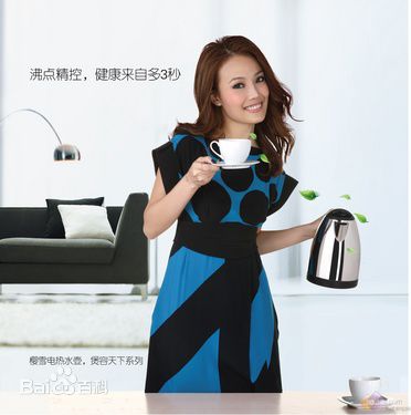 容祖儿(Joey Yung)2011代言INSE樱雪厨卫素颜照相册