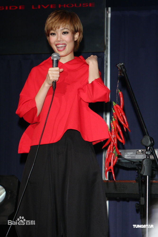 精选容祖儿(Joey Yung)精彩图册