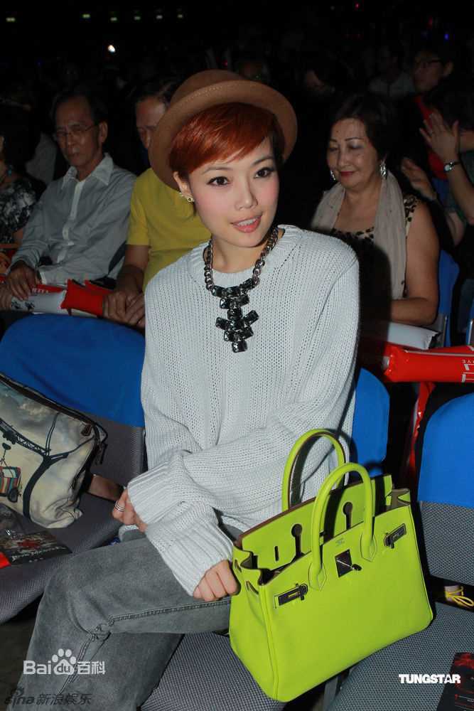 最优质容祖儿(Joey Yung)精彩图册