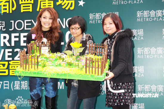 精选容祖儿(Joey Yung)精彩图册