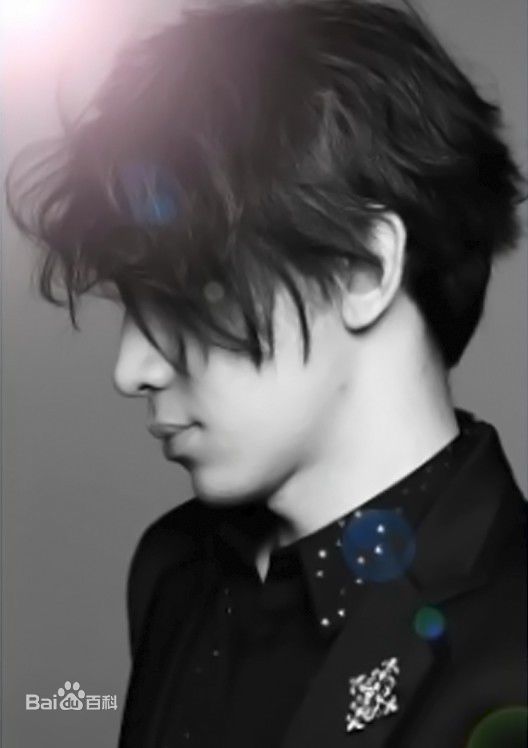 最优质刘谦(Louis Liu（路易斯·刘）)精彩图册