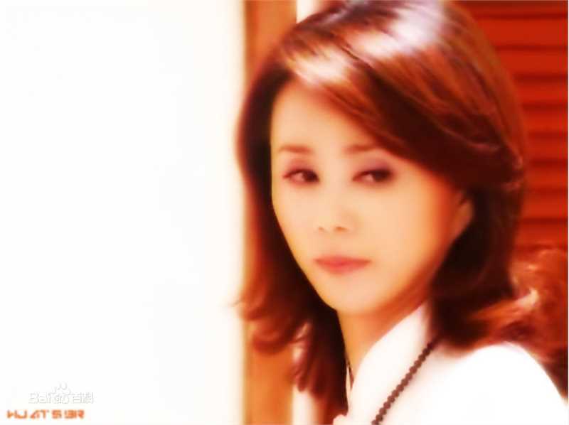 孙翠凤精选图册