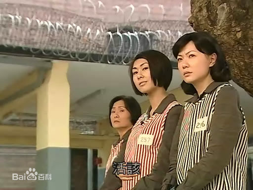 田蕊妮(Kristal Tin)2007年《兰花劫》最全剧照