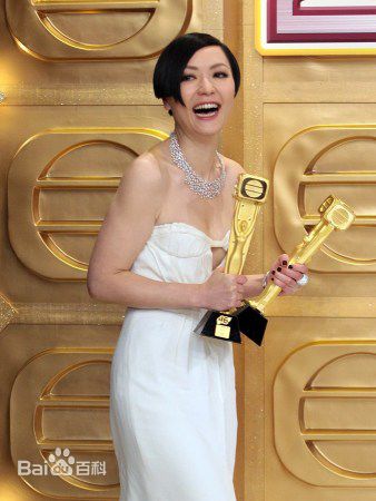 田蕊妮(Kristal Tin)前后照片