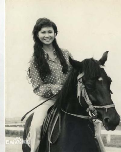 萧芳芳(Josephine Siao)精彩图册