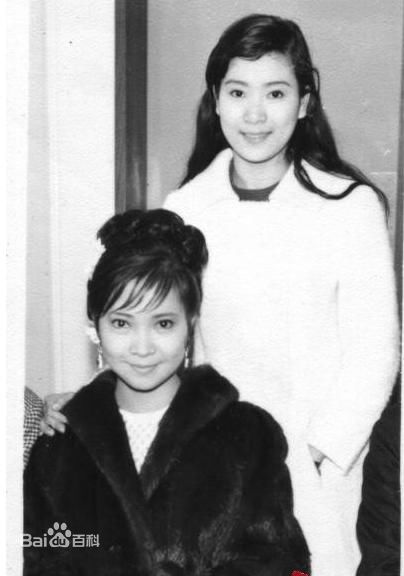 萧芳芳(Josephine Siao)精彩图册