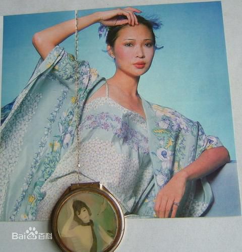 萧芳芳(Josephine Siao)精彩图册