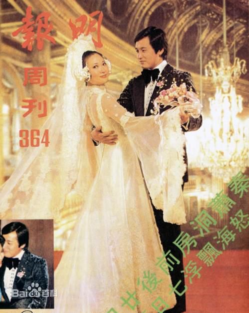 最优质萧芳芳(Josephine Siao)精彩图册