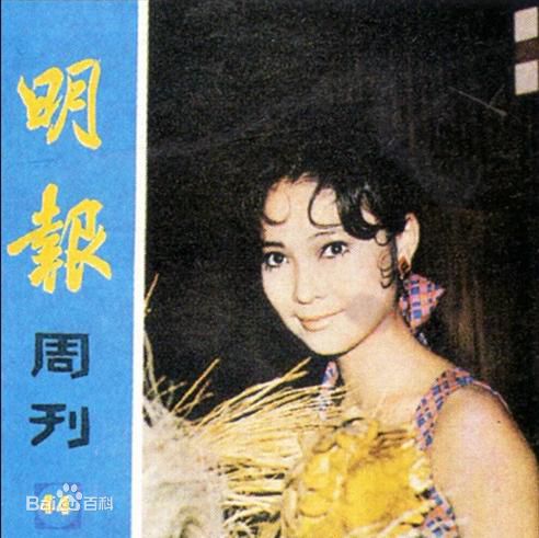 最优质萧芳芳(Josephine Siao)精彩图册
