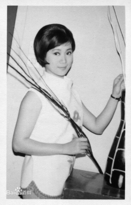 最优质萧芳芳(Josephine Siao)精彩图册