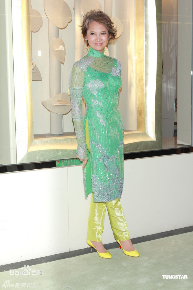 最全萧芳芳(Josephine Siao)精彩图册