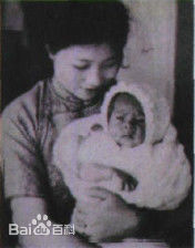 最全萧芳芳(Josephine Siao)壁纸