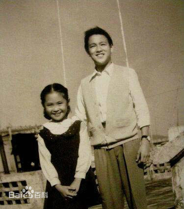 最全萧芳芳(Josephine Siao)壁纸