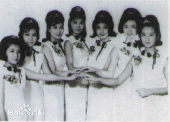 最全萧芳芳(Josephine Siao)壁纸