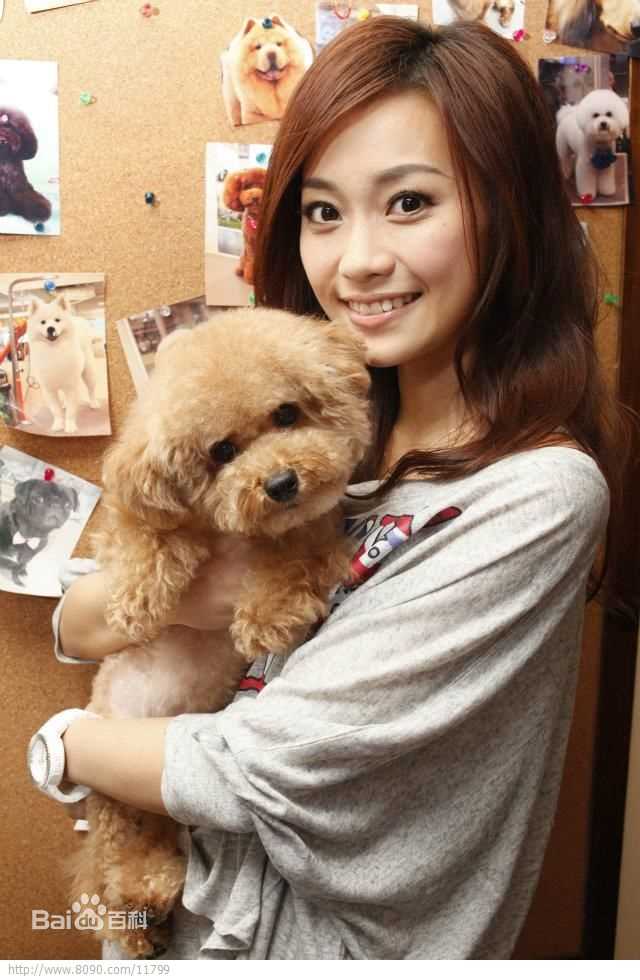 精选杨爱瑾(Miki Yeung)图片