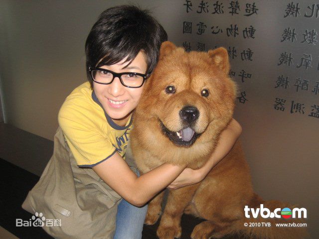 最全钟嘉欣(Linda Chung)精彩图册