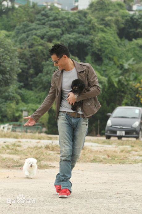 黄智贤(Ben Wong)生活照素颜照相册