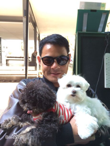 黄智贤(Ben Wong)生活照素颜照相册