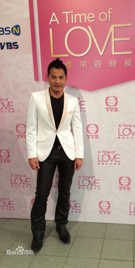 黄智贤(Ben Wong)生活照素颜照相册