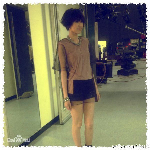 胡定欣(WU TING YAN，Nancy Wu)精彩图册