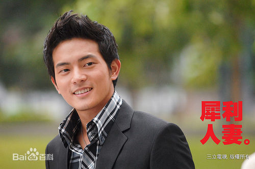 王宥胜(Chris Wang)参演电视剧作品图册