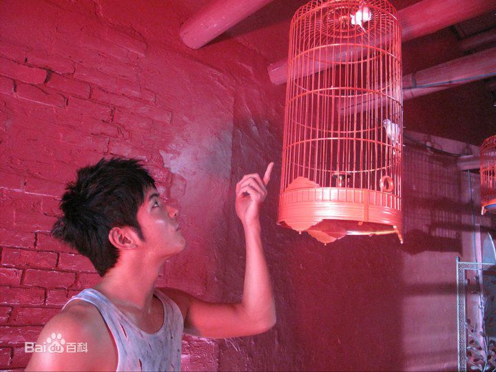 王宥胜(Chris Wang)MV图集图片图册