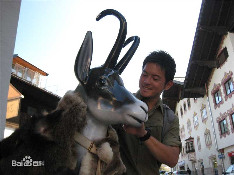 王宥胜(Chris Wang)冒险王性感图片图集