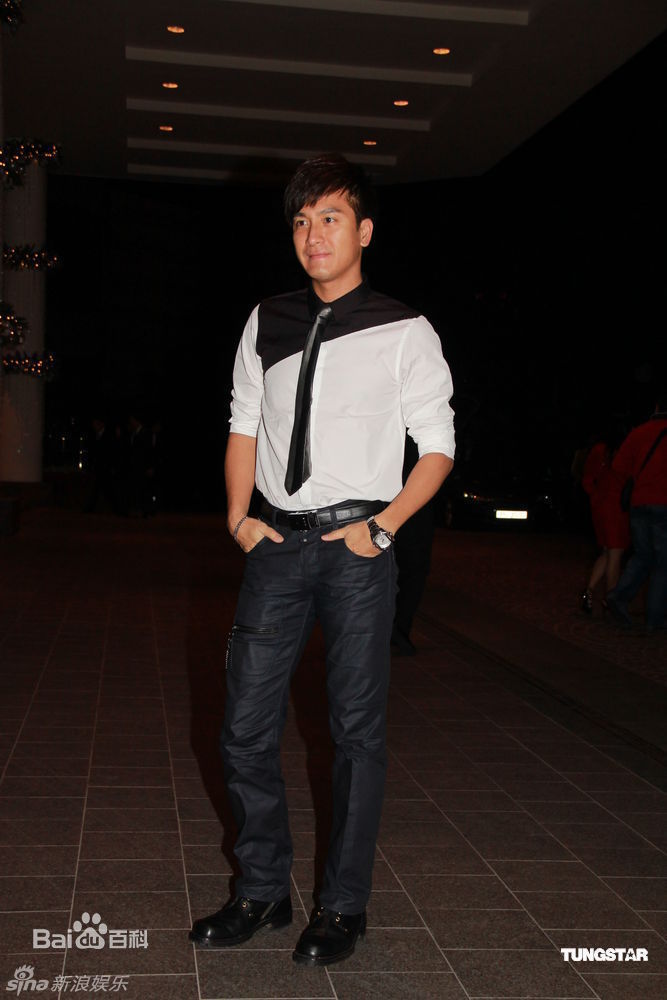 精选阮兆祥(Louis Yuen)马国明精彩图册