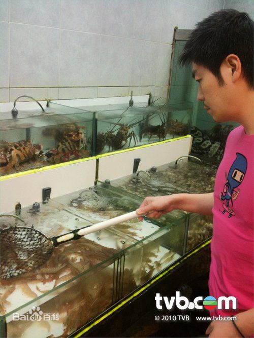 李思捷(Johnson Lee)精彩图册