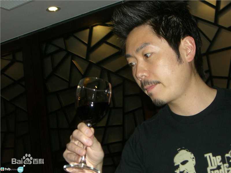 李思捷(Johnson Lee)精彩图册