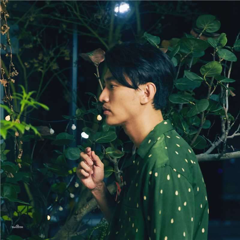 曾少宗(Figaro)前后照片