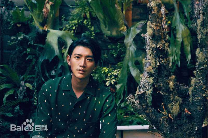 曾少宗(Figaro)前后照片