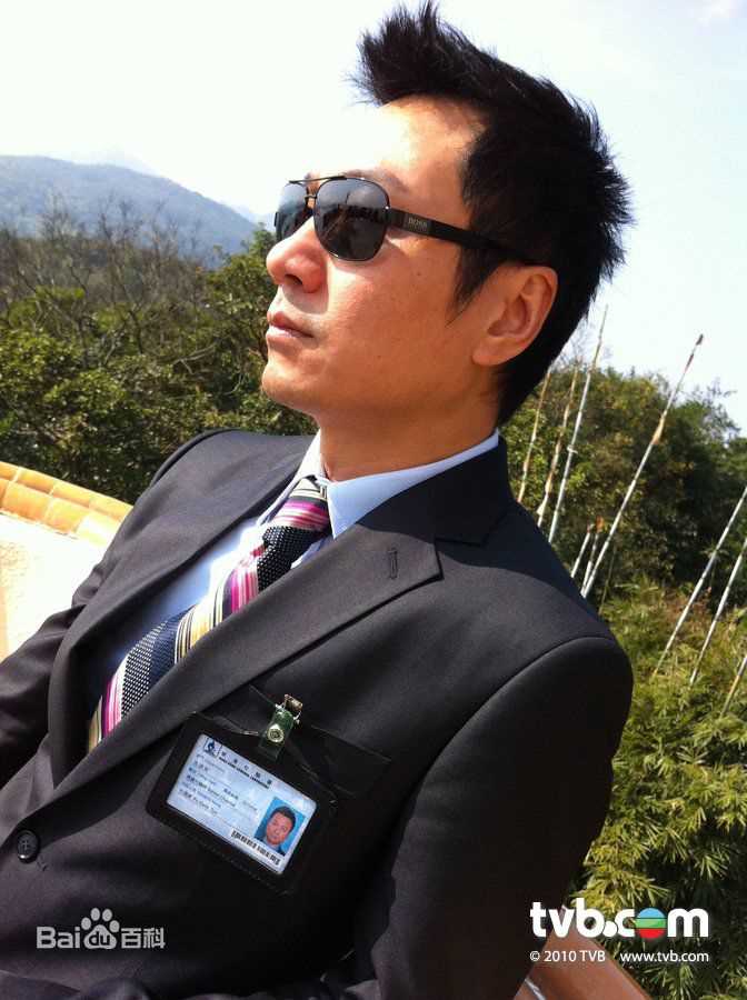 黎耀祥(Yiu-Cheung Wayne Lai)电视最全剧照