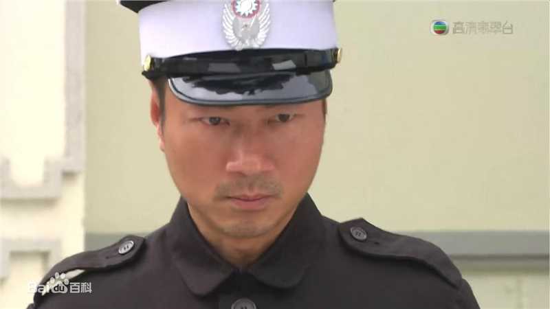 黎耀祥(Yiu-Cheung Wayne Lai)电视最全剧照