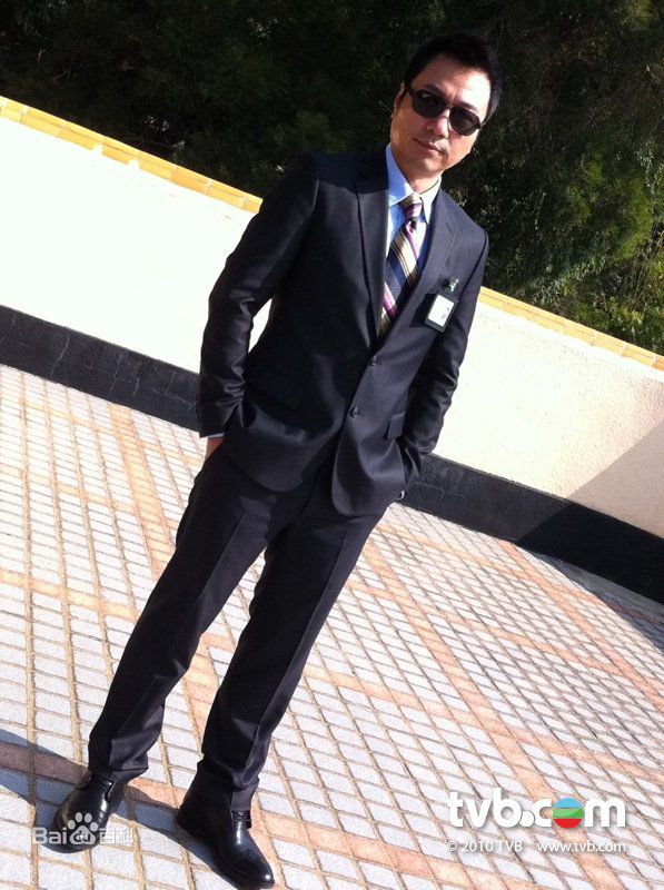 黎耀祥(Yiu-Cheung Wayne Lai)电视最全剧照