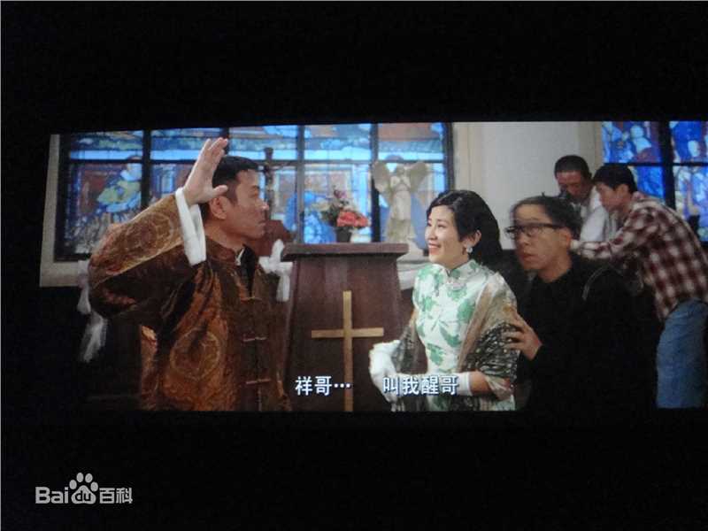 黎耀祥(Yiu-Cheung Wayne Lai)开心香港图册