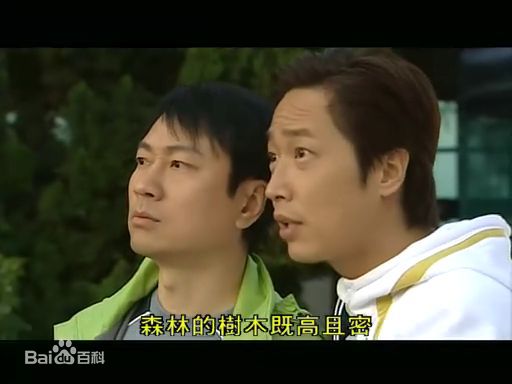 黎耀祥(Yiu-Cheung Wayne Lai)舞动全城图片图集