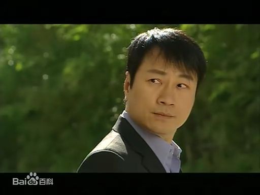 黎耀祥(Yiu-Cheung Wayne Lai)舞动全城图片图集