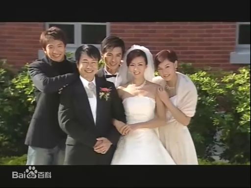 黎耀祥(Yiu-Cheung Wayne Lai)舞动全城图片图集