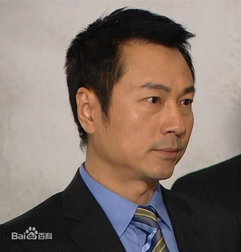 精选黎耀祥(Yiu-Cheung Wayne Lai)精彩图册